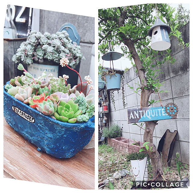 craneさんの実例写真