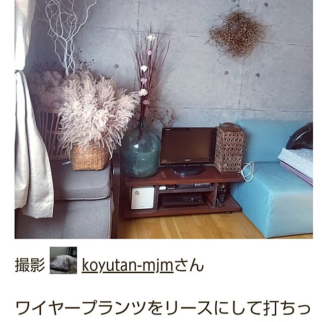 koyutan-mjmさんの部屋