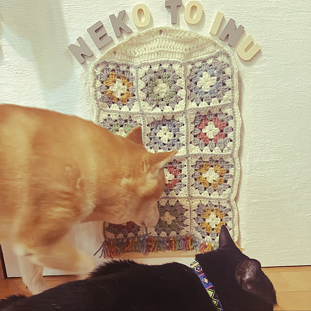 POMERUNさんの実例写真