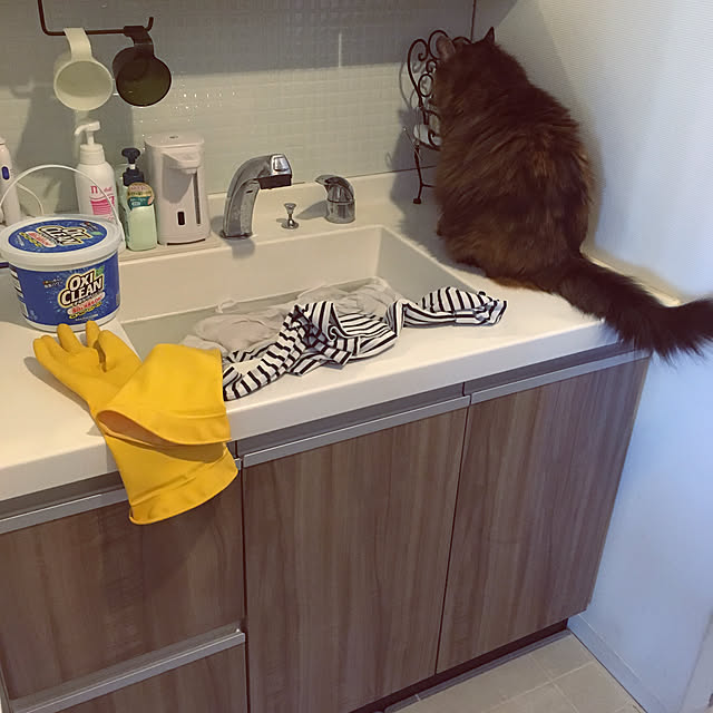 mikomaruさんの実例写真