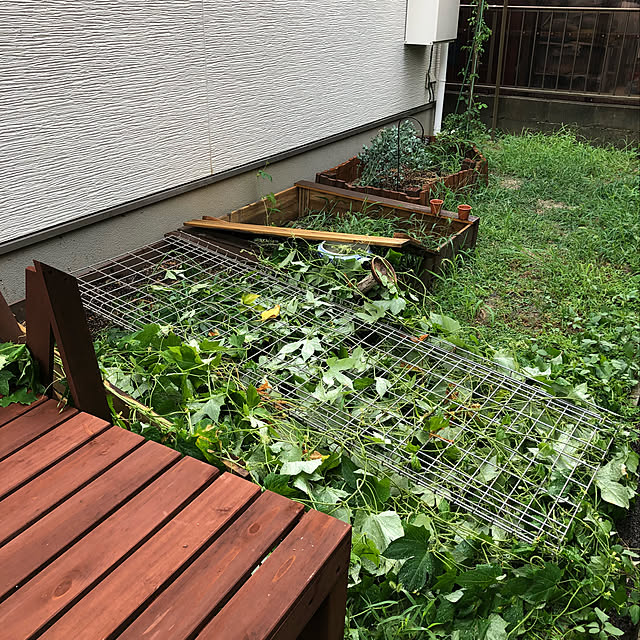 misamariさんの実例写真