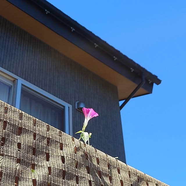 anri193さんの部屋