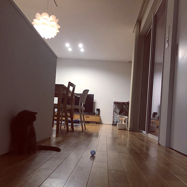 KOHAREさんの実例写真