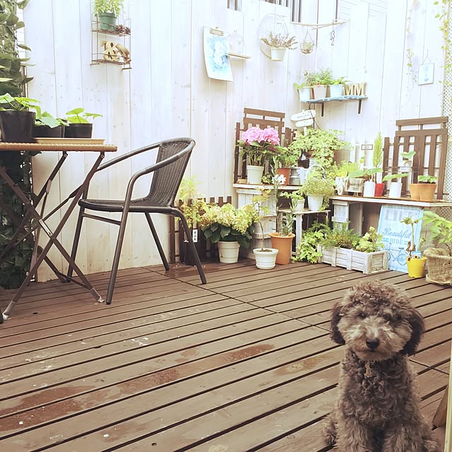 makoriさんの実例写真