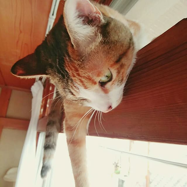 taleo07さんの実例写真