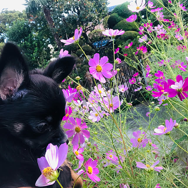 airongyi721さんの実例写真