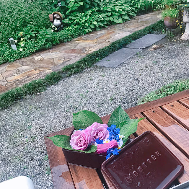 portulacaさんの実例写真