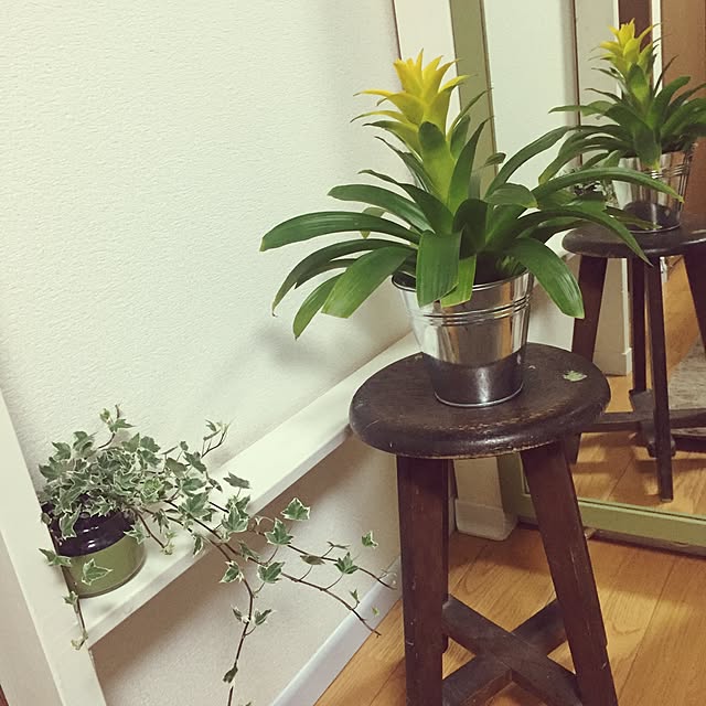 seikoさんの実例写真