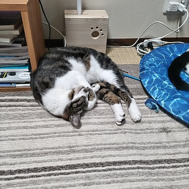 yuuさんの部屋