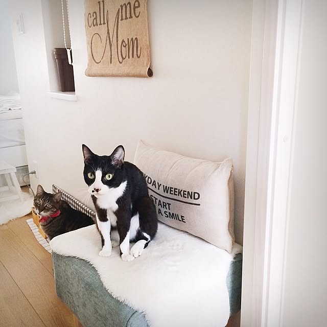 lovecatさんの実例写真