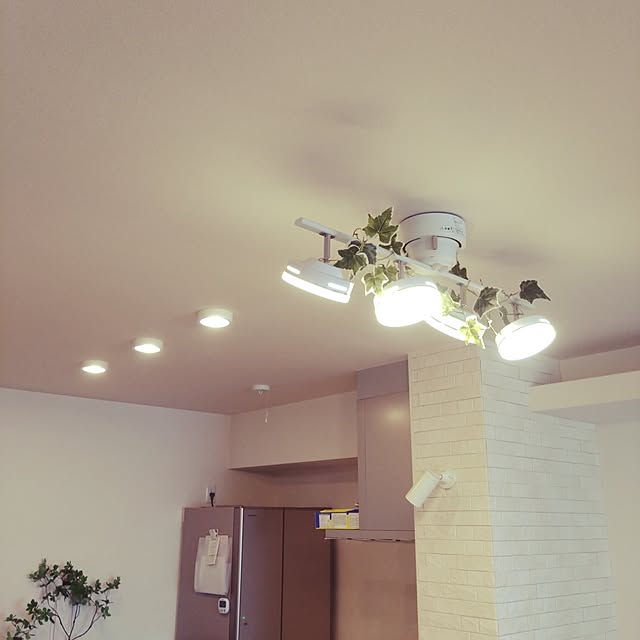 mn0116さんの実例写真