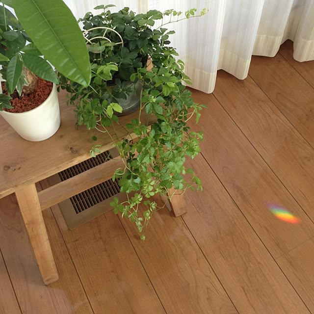 TOMOBINさんの実例写真