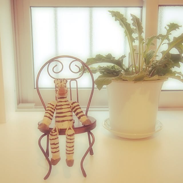 Teruさんの実例写真