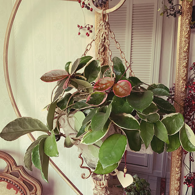 AYUKOさんの実例写真