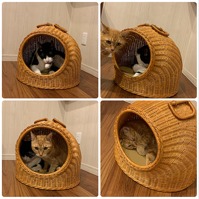 mikeume7さんの実例写真