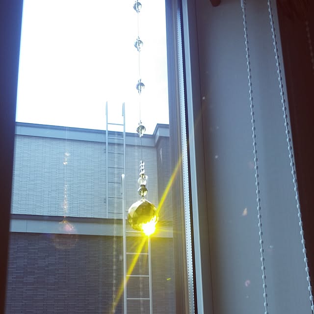 akikoさんの実例写真