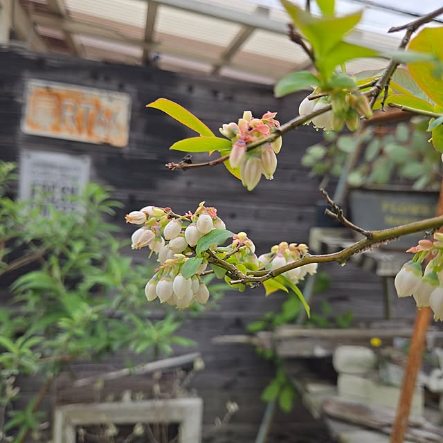 min_nimさんの実例写真