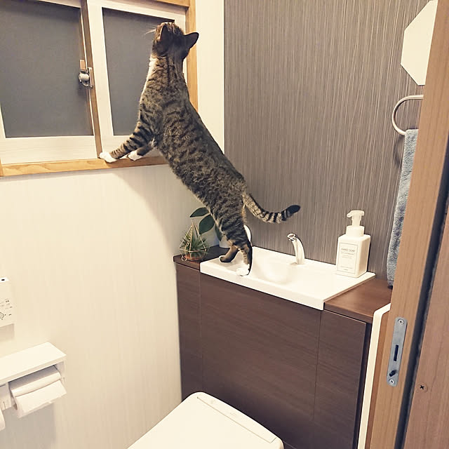 nachiさんの実例写真