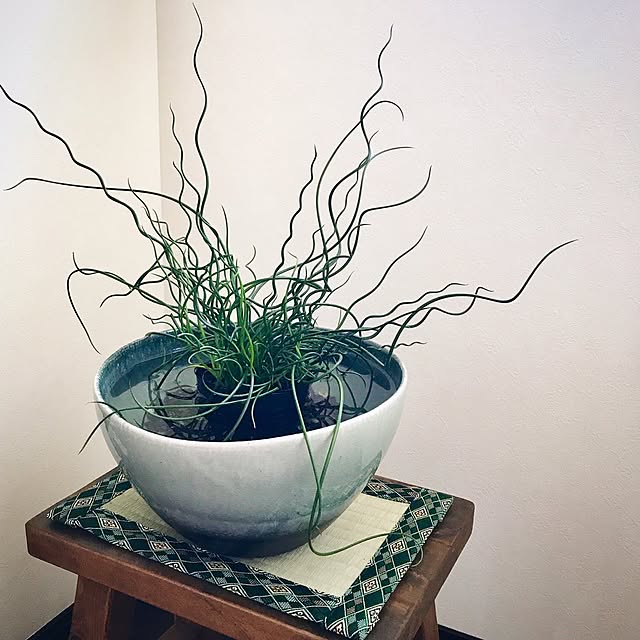 5mayさんの実例写真