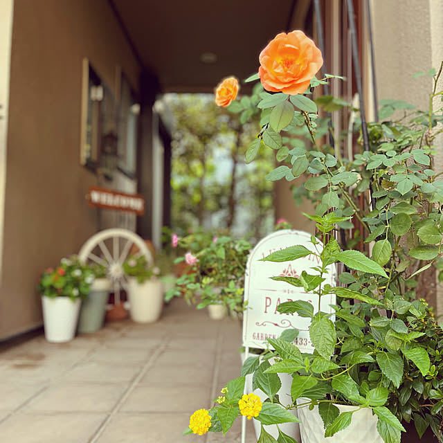 路地裏のお花屋さんのイメージ/二世帯住宅間の土間空間/手作り雑貨/丁寧な暮らしを心がけて/くつろき空間...などのインテリア実例 - 2022-09-15 10:22:59