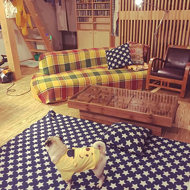 kokeshiさんの実例写真