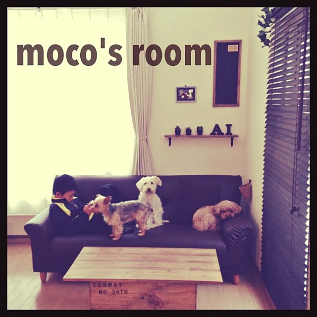 mocoさんの実例写真