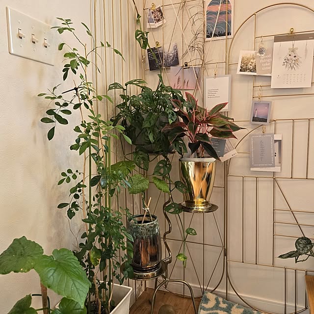 nonbiri_house_さんの部屋