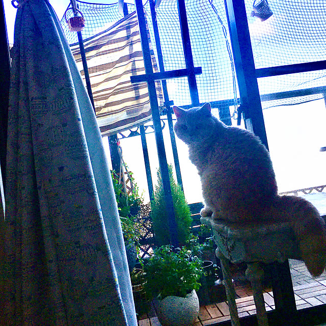 naokoさんの実例写真