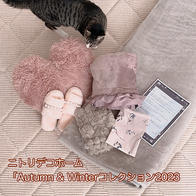 kurinさんの実例写真