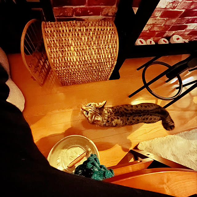 Mさんの実例写真