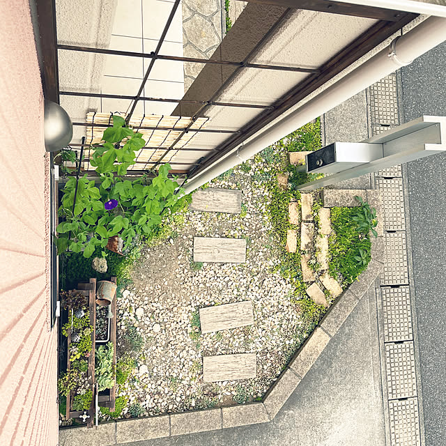 pekoさんの実例写真