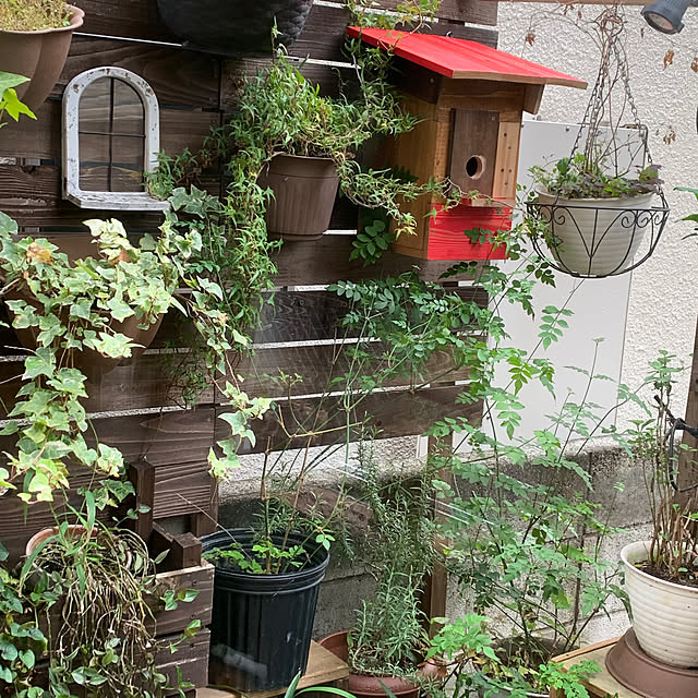 masakoさんの実例写真