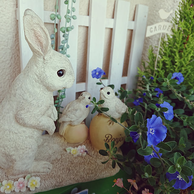 yokomokoさんの実例写真