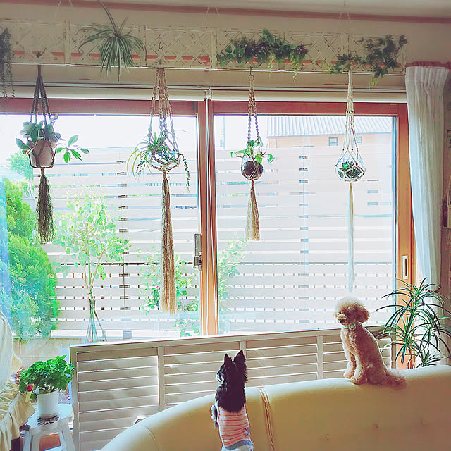 xigyanさんの実例写真