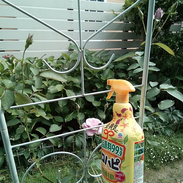 mariagardenさんの実例写真