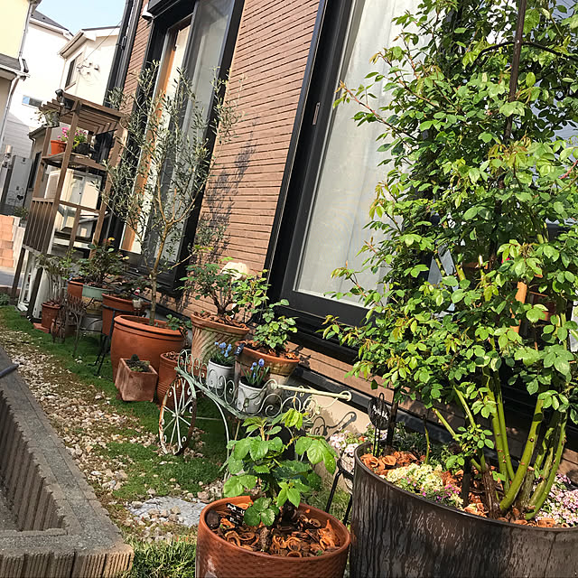 gin_mamaさんの実例写真