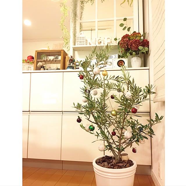 UNI.mamaさんの実例写真