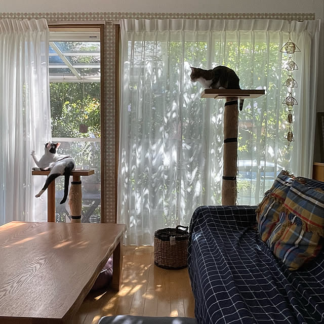 nobikoさんの実例写真