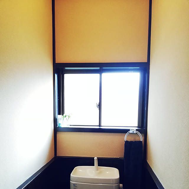 amanojakuさんの実例写真