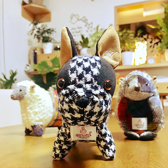 BUNさんの実例写真