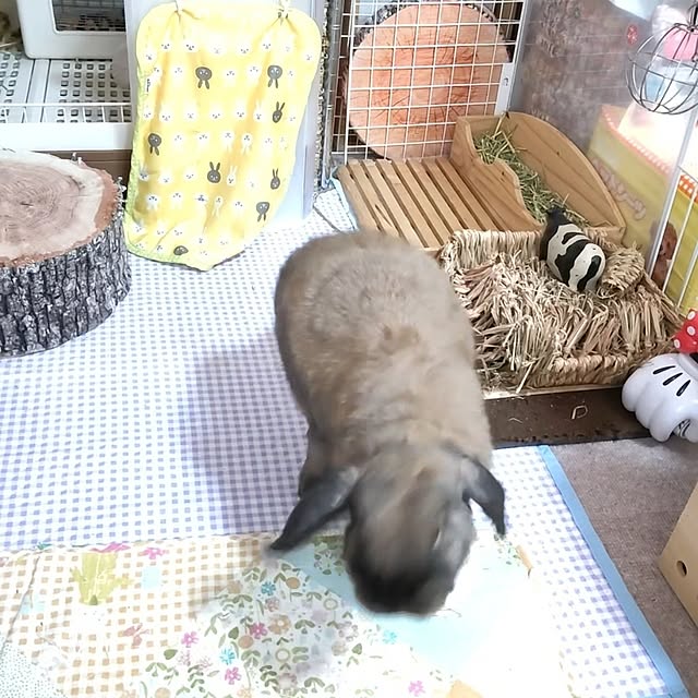 mariaさんの部屋