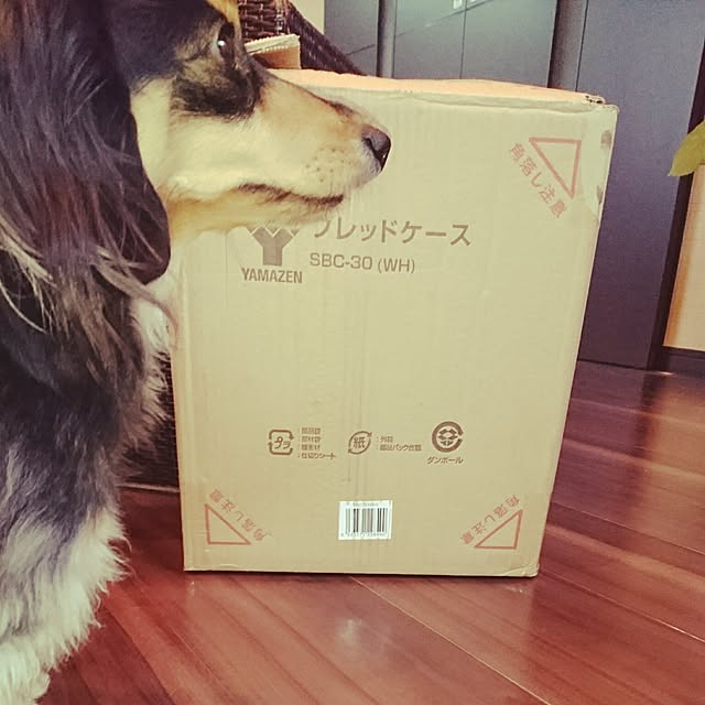 cocosorasakuさんの実例写真