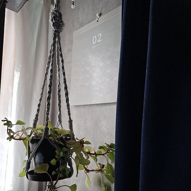 noaさんの実例写真