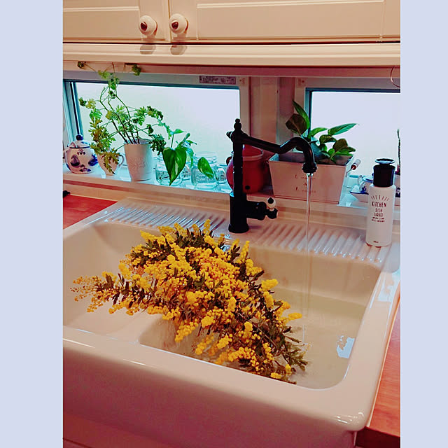Toraziさんの実例写真