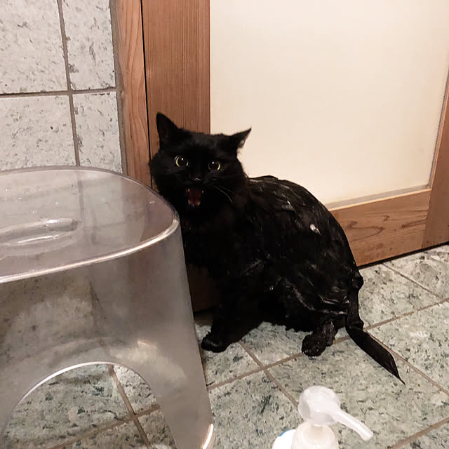 Tomoeさんの実例写真