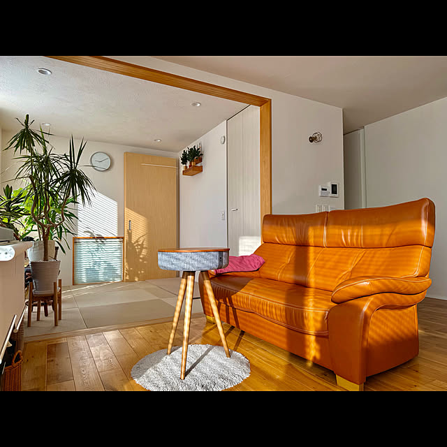 tamabaka1971さんの部屋