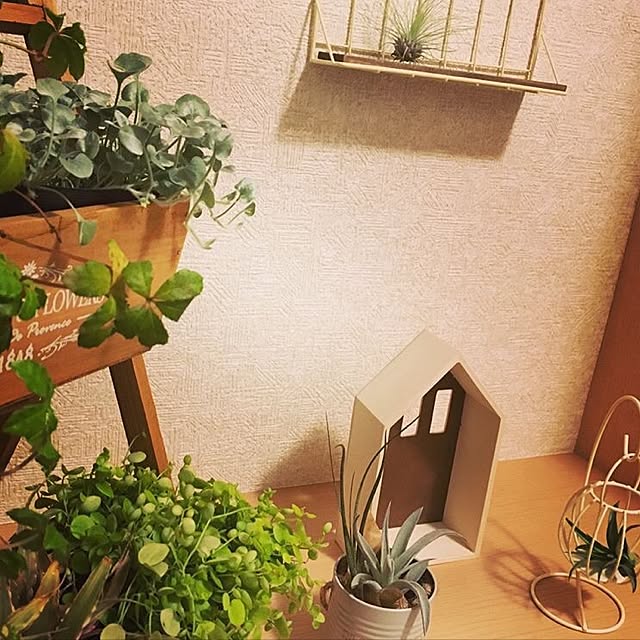 Ayumiさんの実例写真
