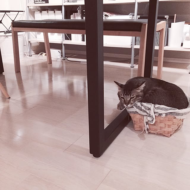 Reikoさんの実例写真