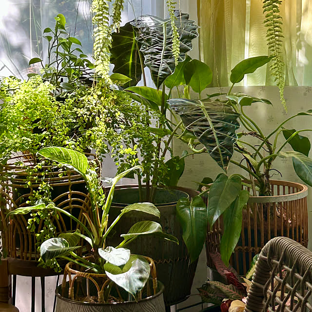 DAYONEさんの実例写真