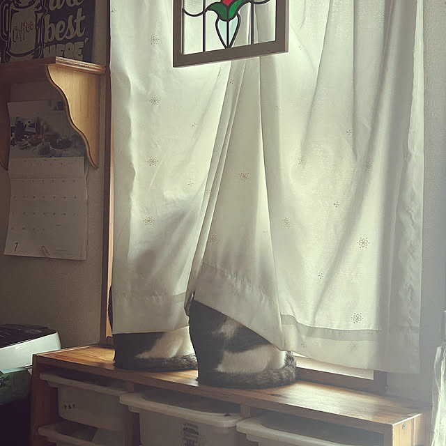 Lufuさんの部屋